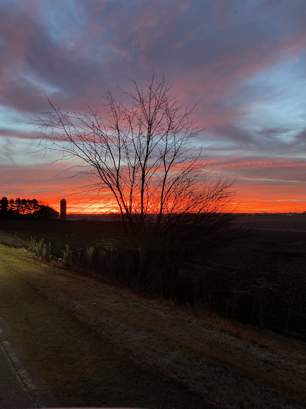 farm scene